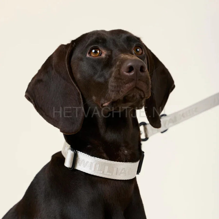 William Walker - Jacquard nylon hondenhalsband zand