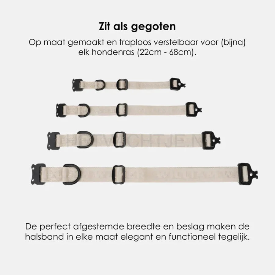 William Walker - Jacquard nylon hondenhalsband zand