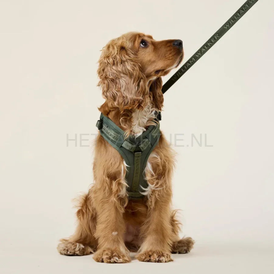 William Walker - Jacquard nylon hondenriem Forest