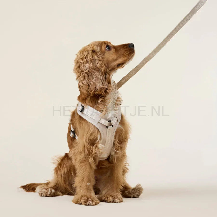 William Walker - Jacquard nylon hondenriem zand