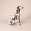William Walker - Leren halsband Florence // Limited