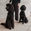 William Walker - Leren halsband Florence // Limited