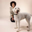 William Walker - Leren halsband Prestige Forest