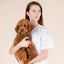 William Walker - Leren halsband Prestige Forest