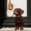 William Walker - Leren halsband Prestige Karamel