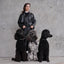 William Walker - Leren halsband Prestige Nero
