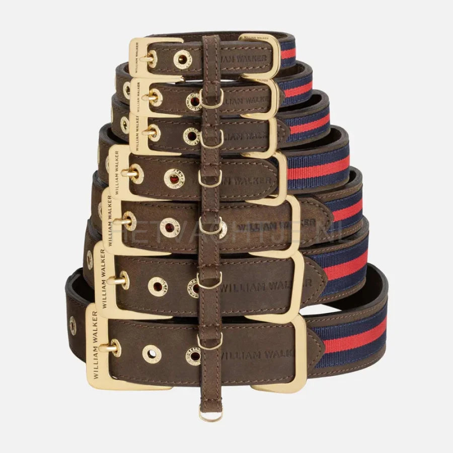 William Walker - Leren hondenhalsband Charles // Limited