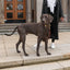 William Walker - Leren hondenhalsband Charles // Limited