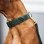 William Walker - Leren hondenhalsband Dark Moss