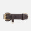 William Walker - Leren hondenhalsband Earth