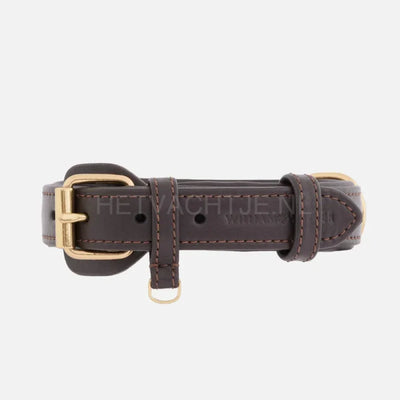 William Walker - Leren hondenhalsband Earth