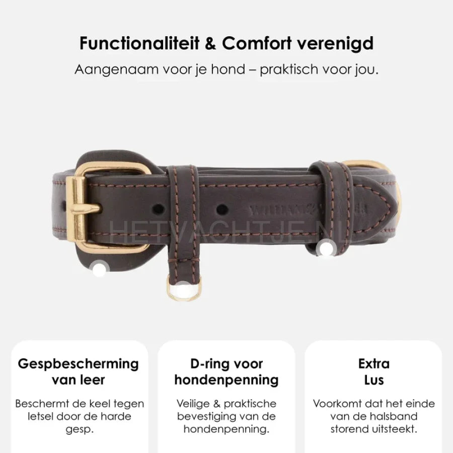 William Walker - Leren hondenhalsband Earth