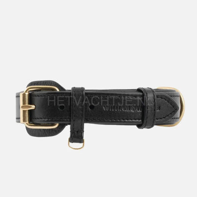 William Walker - Leren hondenhalsband Noir