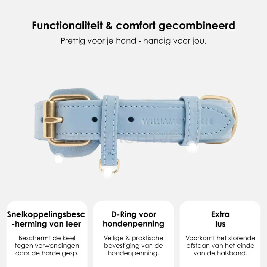 William Walker - Leren hondenhalsband Baby Blauw