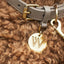 William Walker - Leren hondenhalsband Twisted Zand