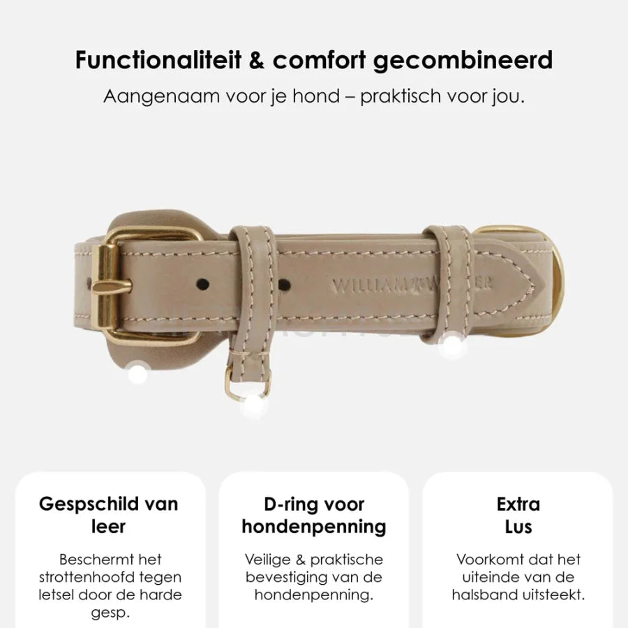 William Walker - Leren hondenhalsband Beige