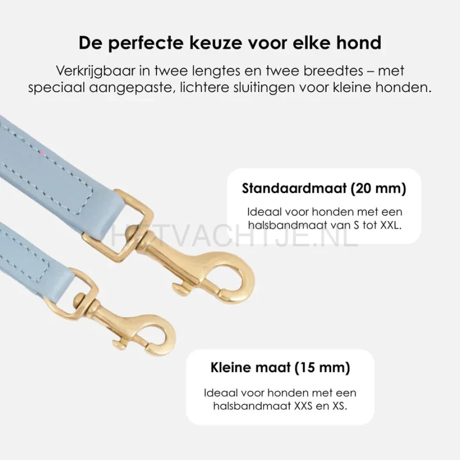 William Walker - Leren hondenriem Sky