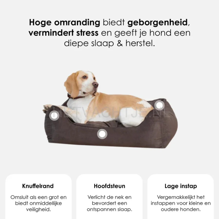 William Walker - Orthopedisch hondenbed Hout