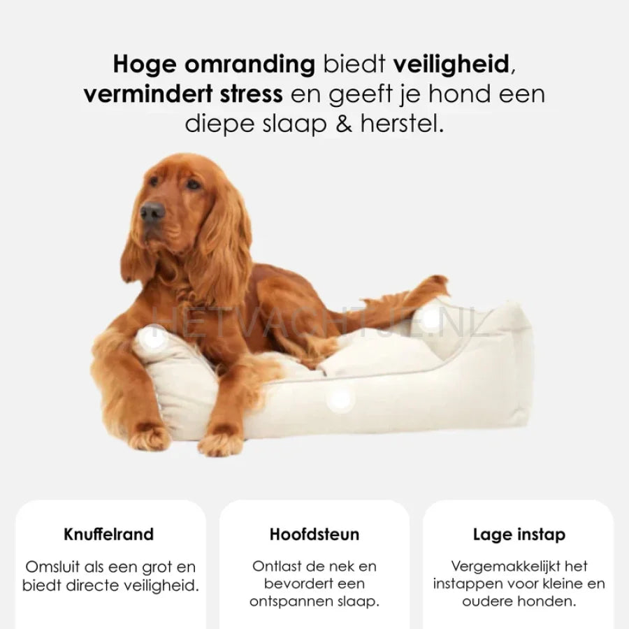 William Walker - Orthopedisch hondenbed zand