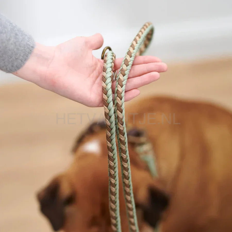 William Walker - Paracord Hondenriem Shire Verstelbaar / Gouw