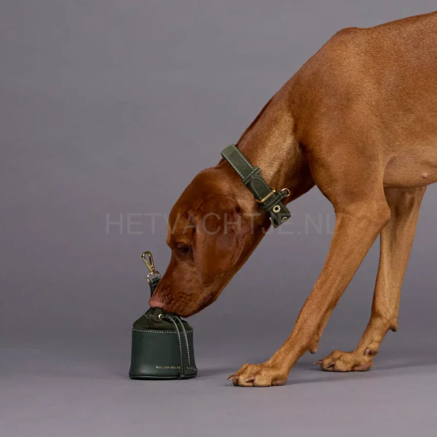 William Walker - Suède hondenhalsband Forest