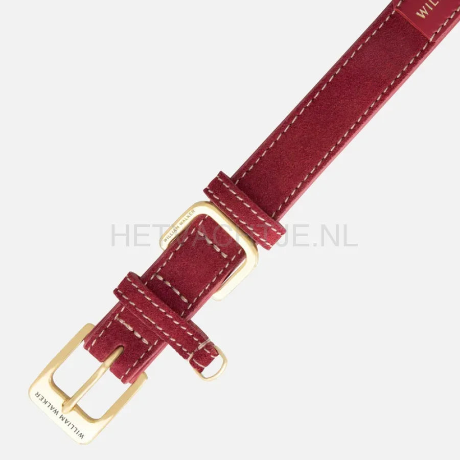 William Walker - Suède hondenhalsband Lambrusco