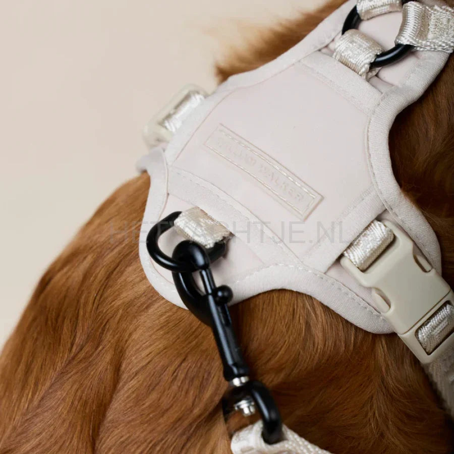 William Walker - Y hondenharnas zand