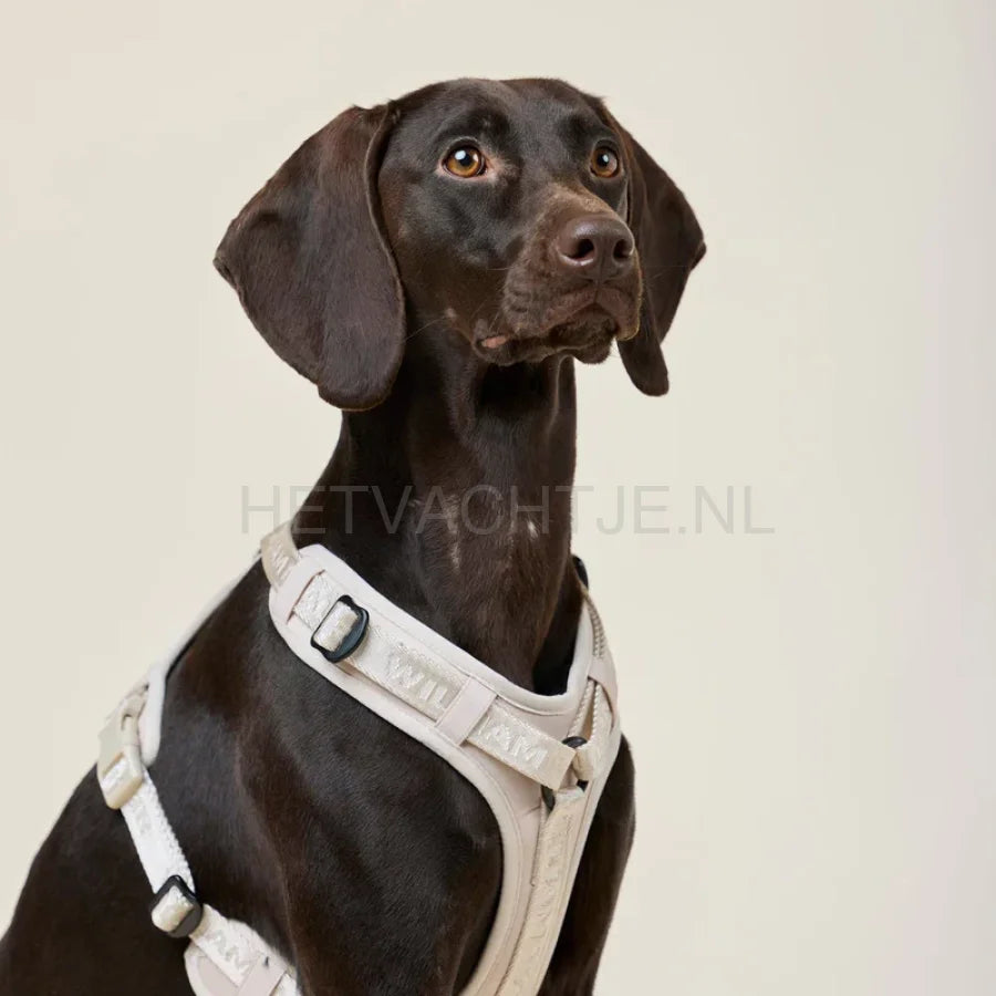 William Walker - Y hondenharnas zand