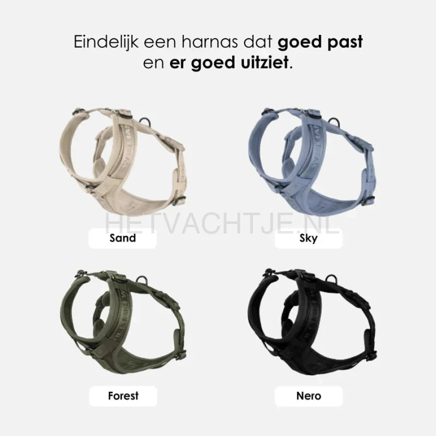 William Walker - Y hondenharnas zand