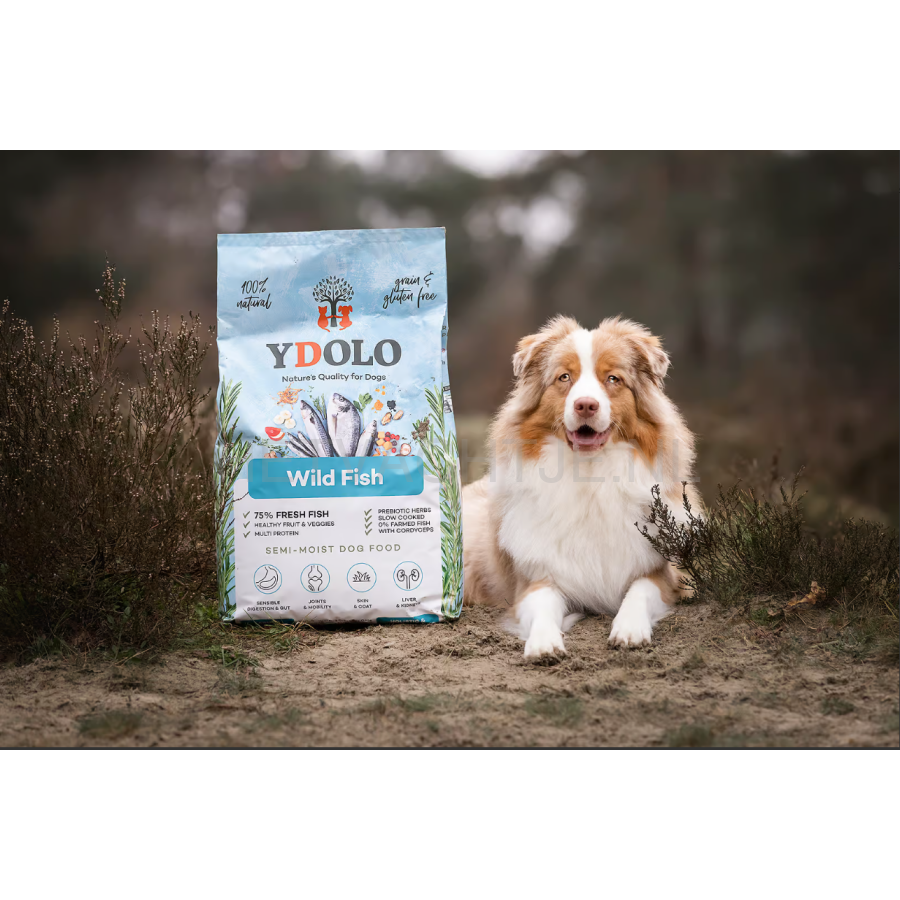 Ydolo - Wild Gevangen Vis Hondenvoer