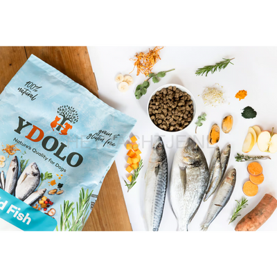 Ydolo - Wild Gevangen Vis Hondenvoer