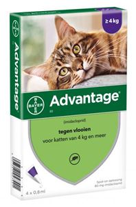 ADVATAGE - Spot-On 4 Pipet Anti-Vlo Middel voor katten