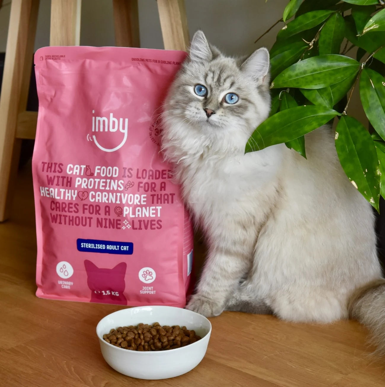 IMBY Insect-based Kattenvoer Gesteriliseerd