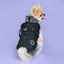 PUPPIA - Donavan Black 